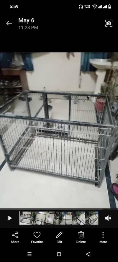 gray parrot cage for sale