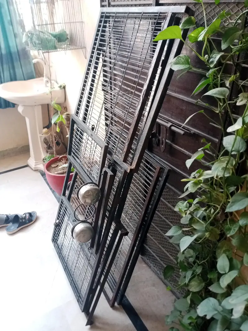 gray parrot cage for sale — photo 3