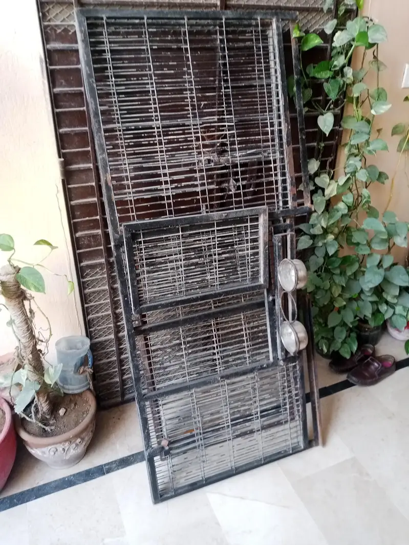 gray parrot cage for sale — photo 4