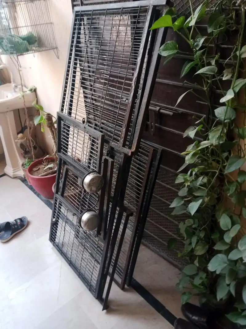 gray parrot cage for sale — photo 5