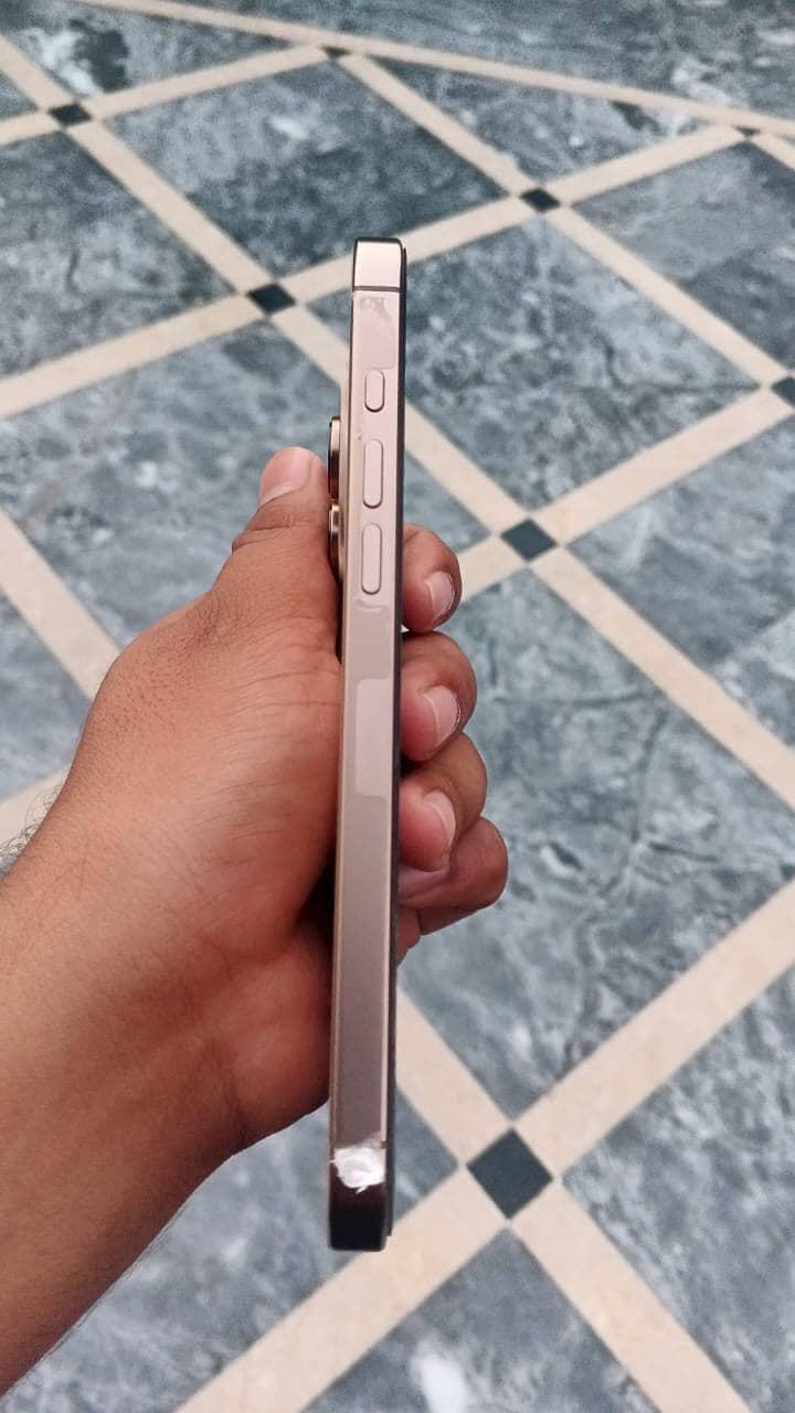 Apple iPhone 16 Pro Max 1