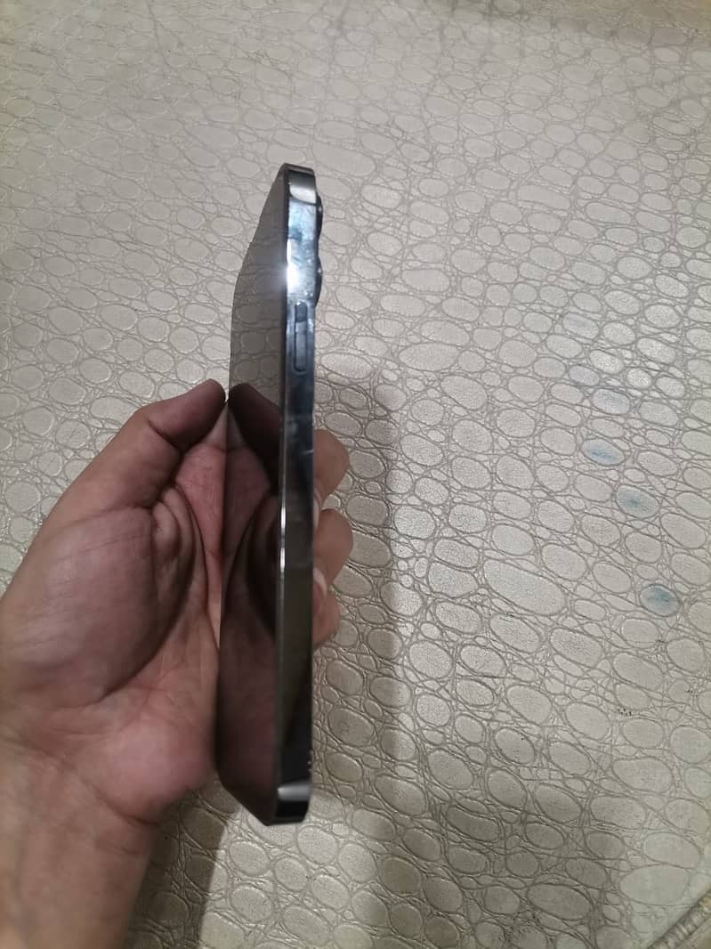 Apple iPhone 13 Pro Max 1