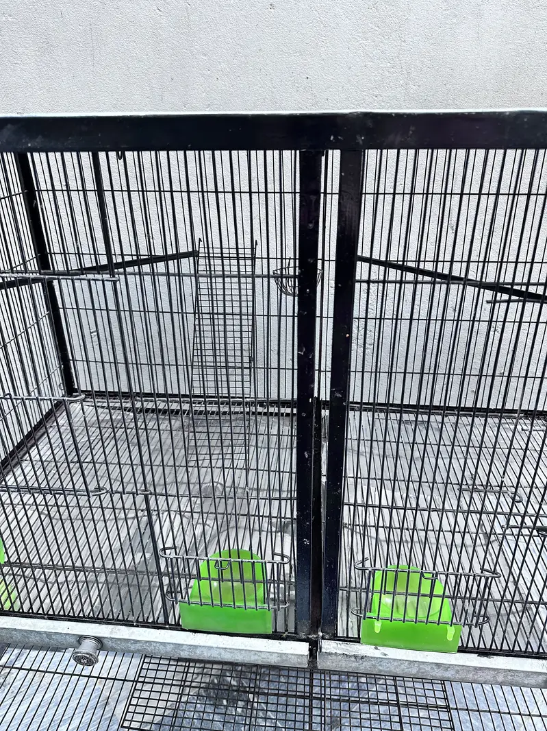 cage / iron cage / birds cage / portions cages / parrot cage — photo 3