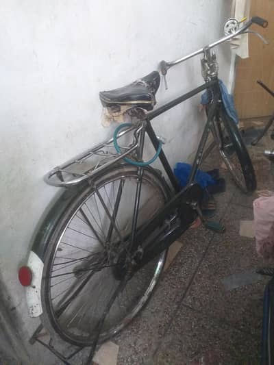 Phoenix Bicycle