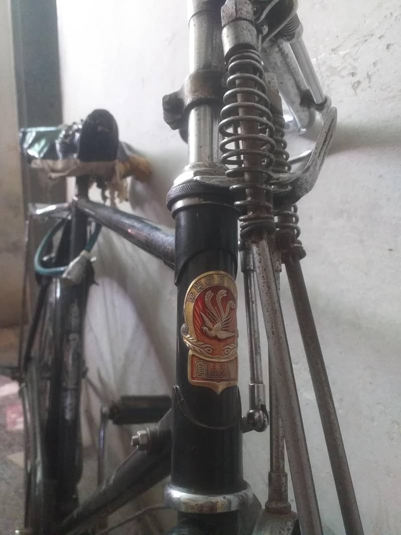 Phoenix Bicycle 5