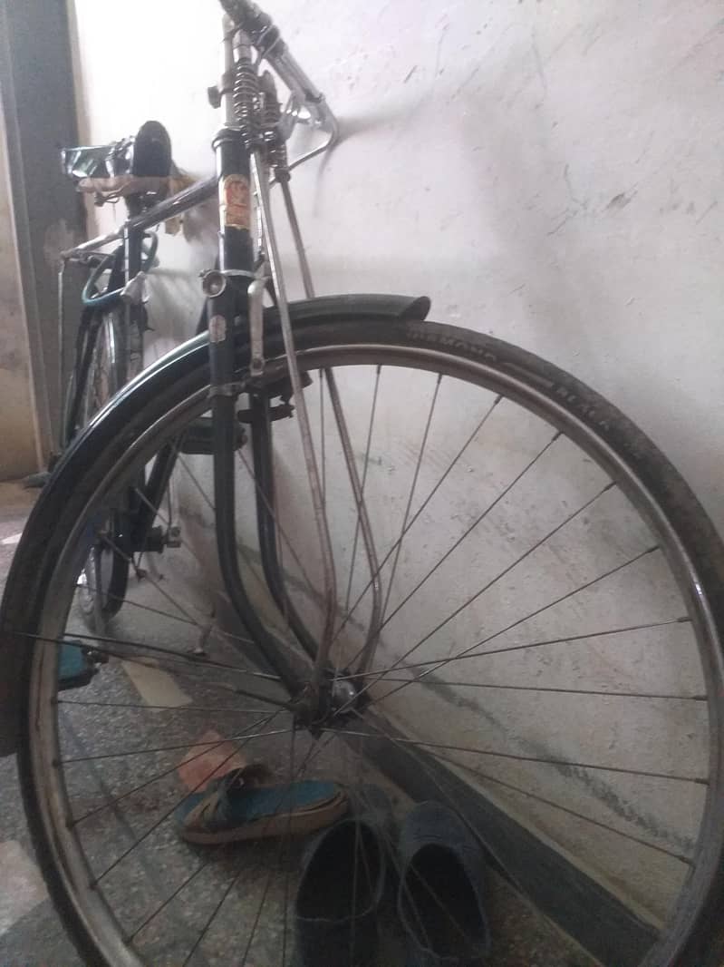 Phoenix Bicycle 6