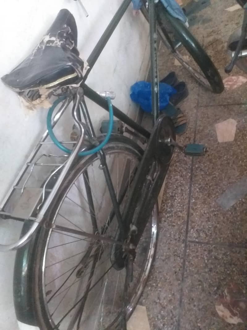 Phoenix Bicycle 7