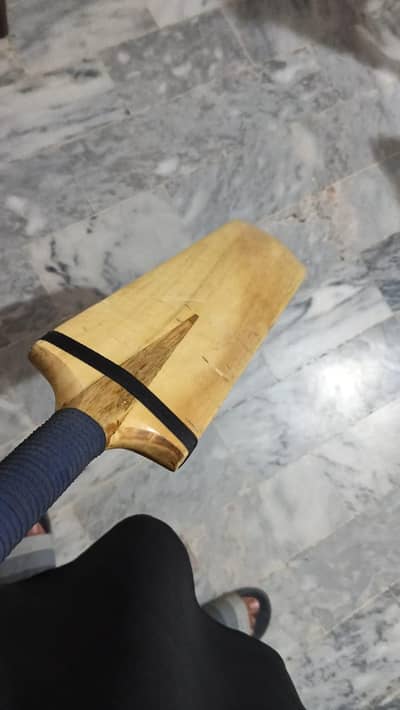 Cricket Bat for Sale – 2 Months Used, Clean Condition