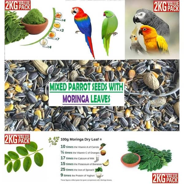 2 KG Special Treat Seed Mix Feed with moringa leaves For Large Parrots African Grey Parrot, Macaw, cockatoo Alexandrian parakeet, RAW, Pahari Totta and Other, Parrot Treat & Parrot Blend