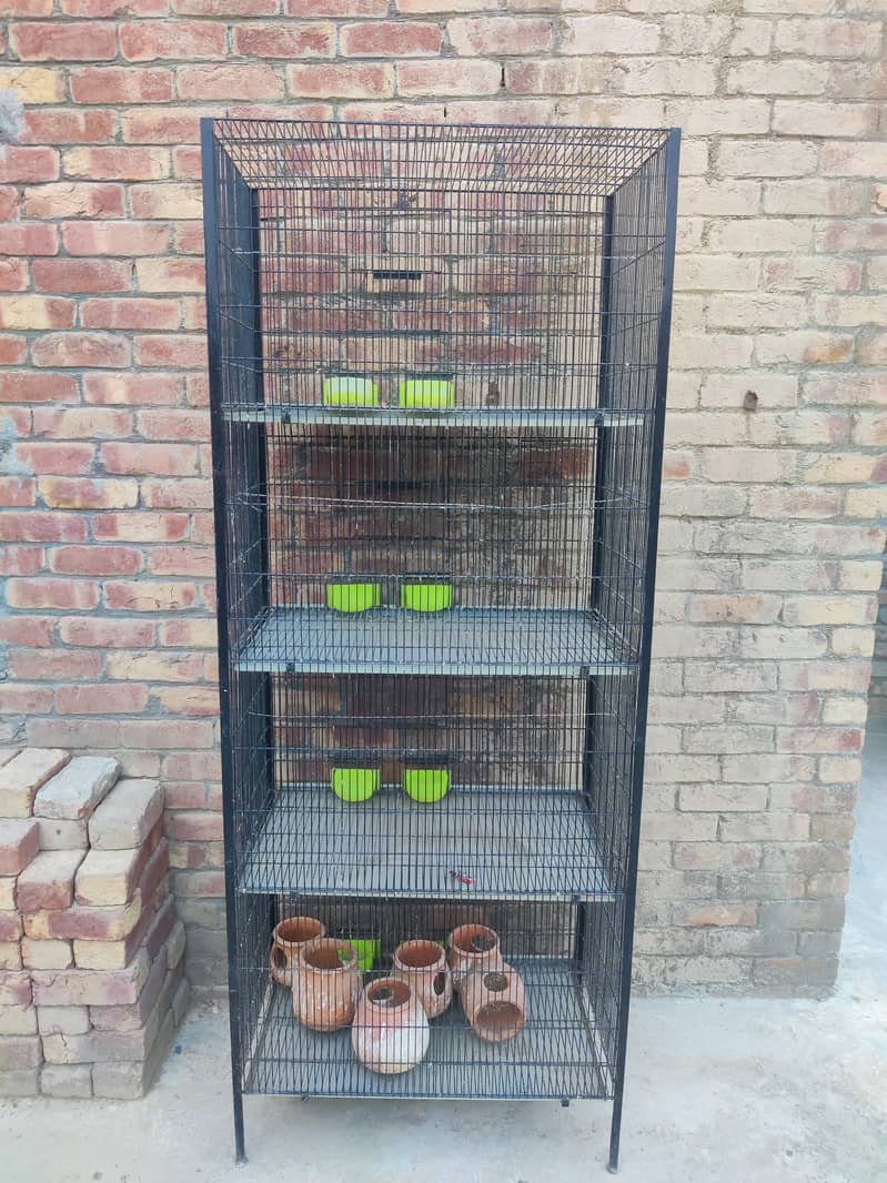 Bird cage 1