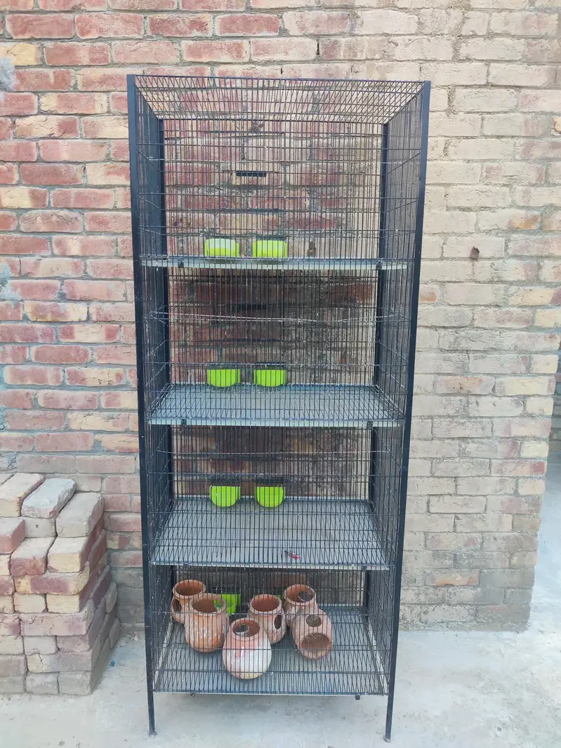 Bird cage — photo 2