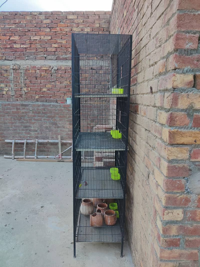 Bird cage 2