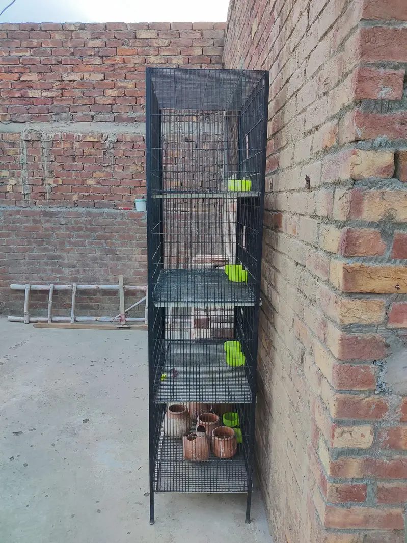Bird cage — photo 3