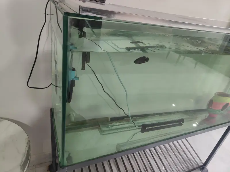 New 12mm glass Aquarium 4×2.6 feet size and 15 inches Width — photo 2