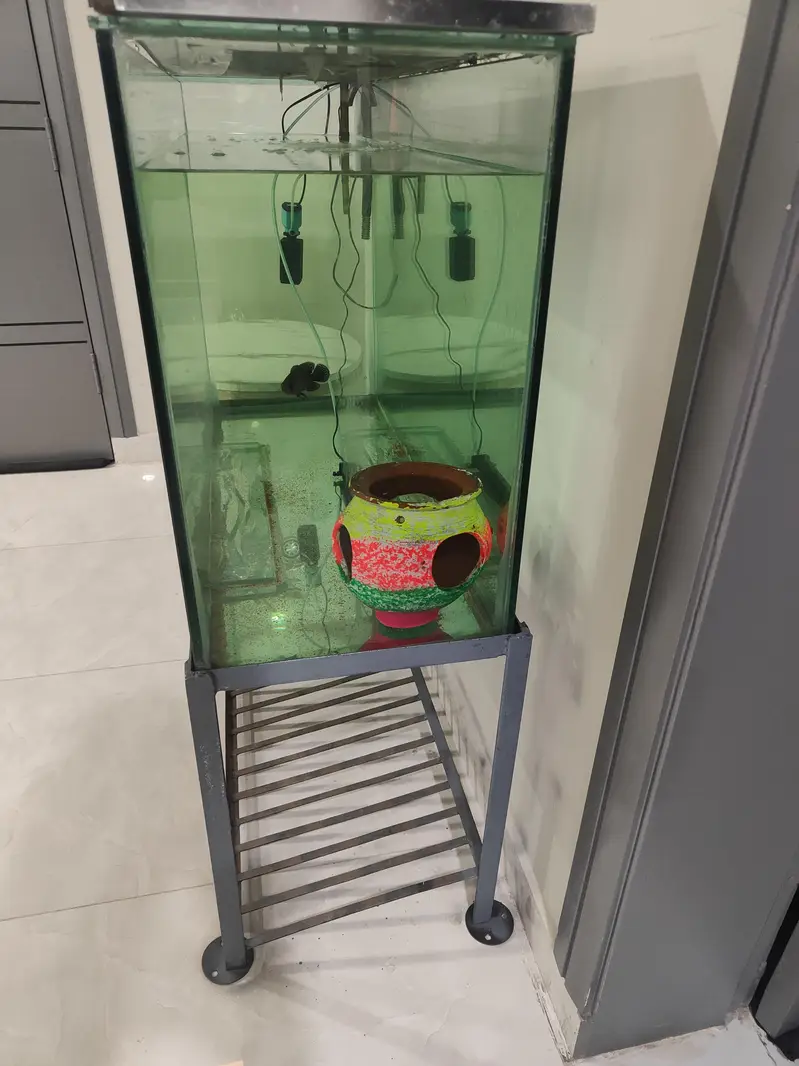 New 12mm glass Aquarium 4×2.6 feet size and 15 inches Width — photo 4
