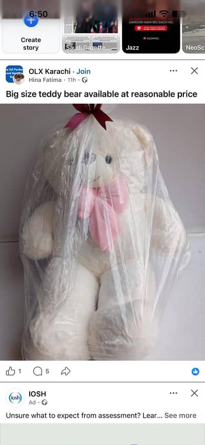 excellent condition big size teddy