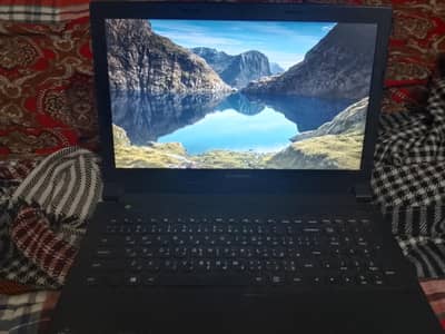 arrangent bass for sale