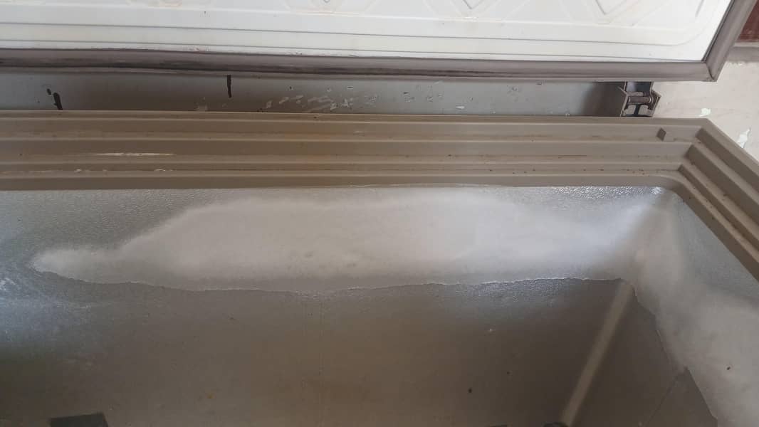 D freezer waves 1