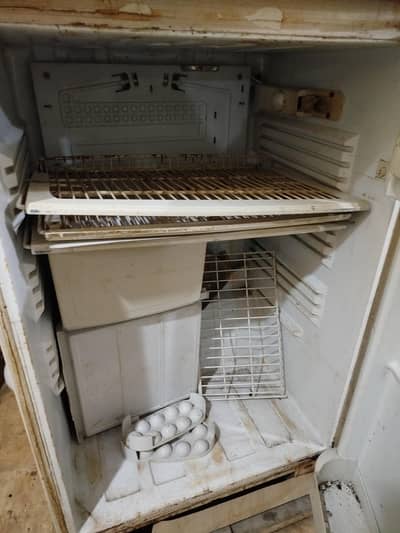 Pel Jumbo Size fridge.