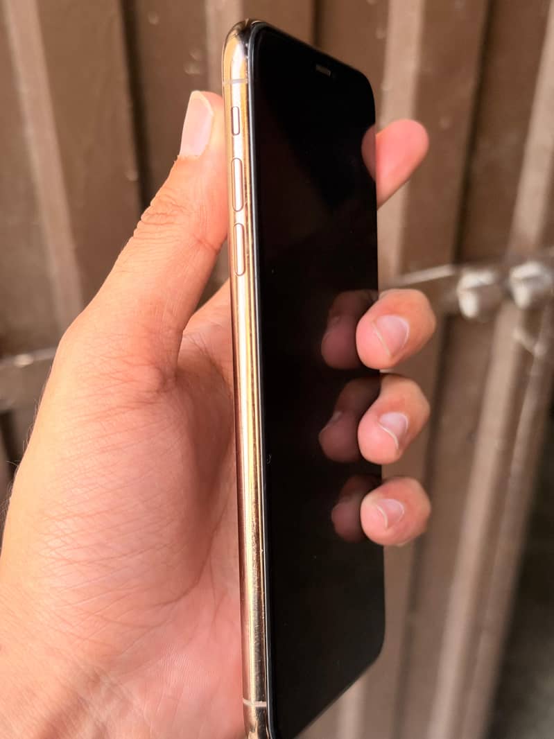 Apple iPhone XS Max 9