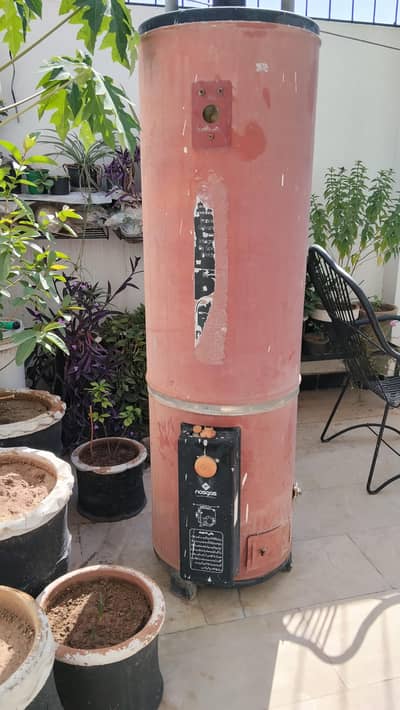 35 gallon gas geyser