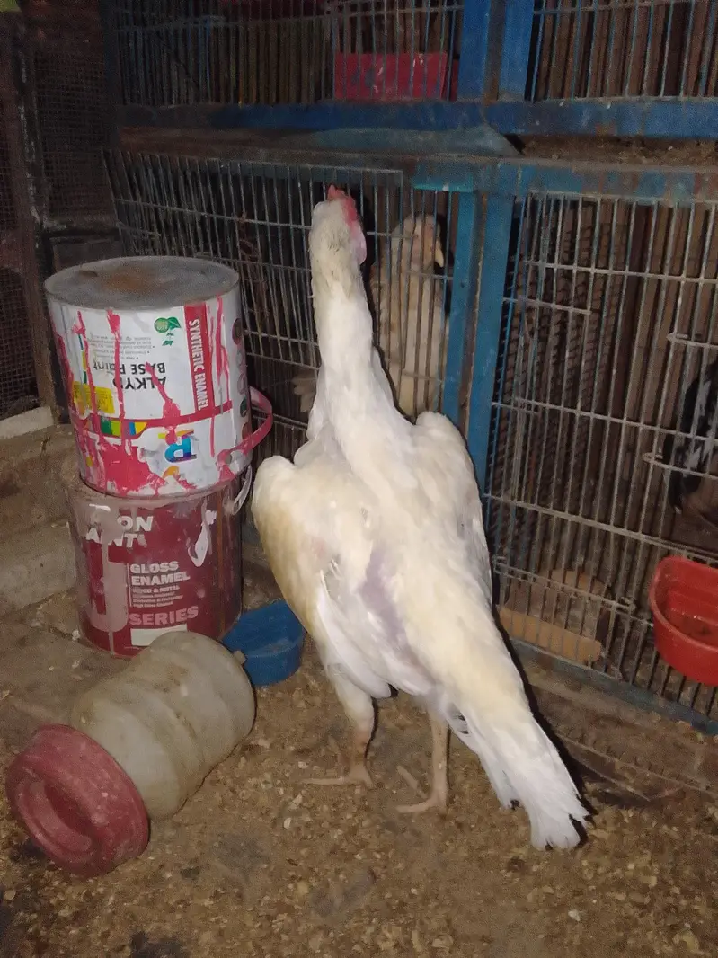 ORANGI TOWN GULSHAN E BEHAR — photo 5