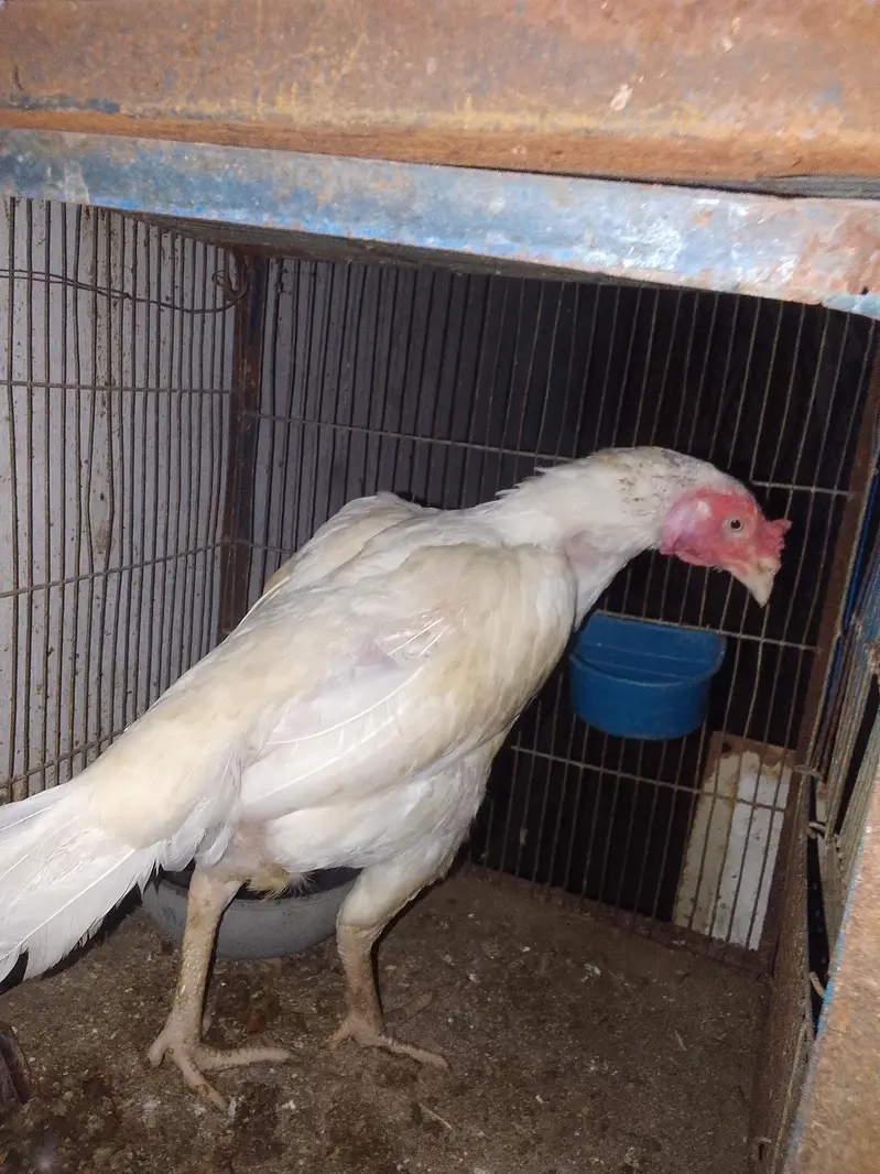 ORANGI TOWN GULSHAN E BEHAR — photo 9