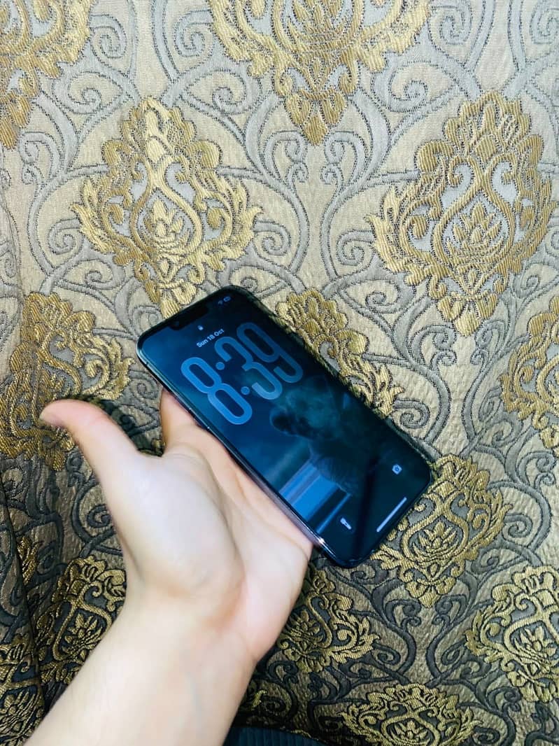 Apple iPhone 13 Pro Max 3