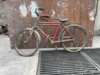 18 Inches Cycle
