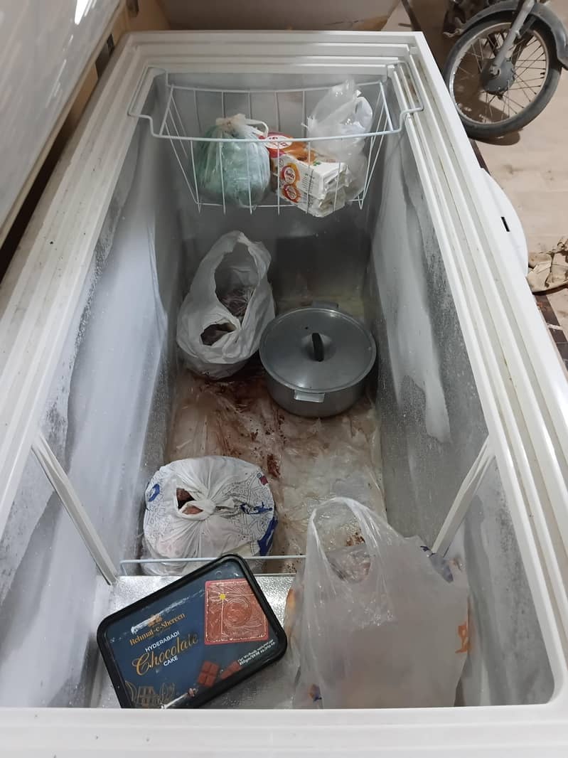 Waves Deep Freezer 6