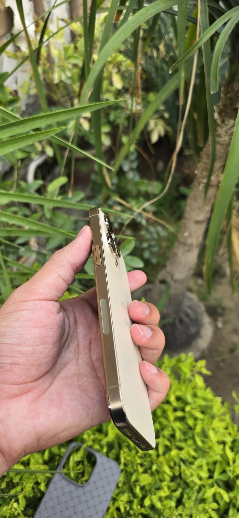 iPhone 14 Pro Max 6