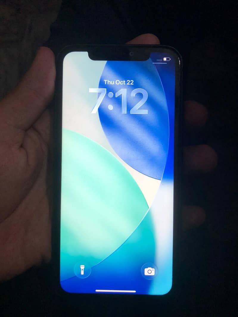 Apple iPhone 11 0