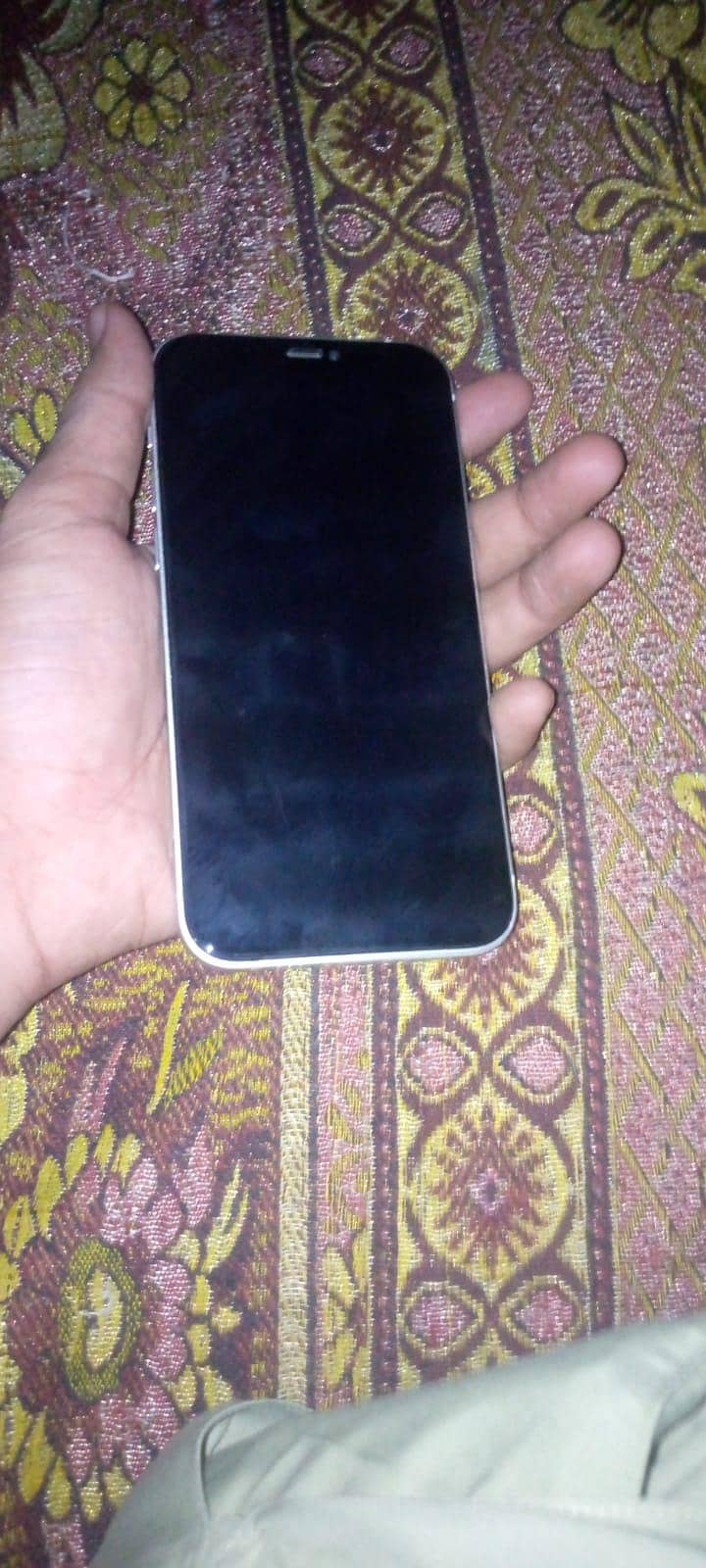 Apple iPhone 12 1