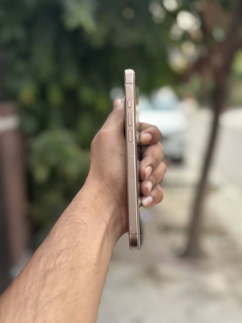 Apple iPhone 16 Pro Max 1