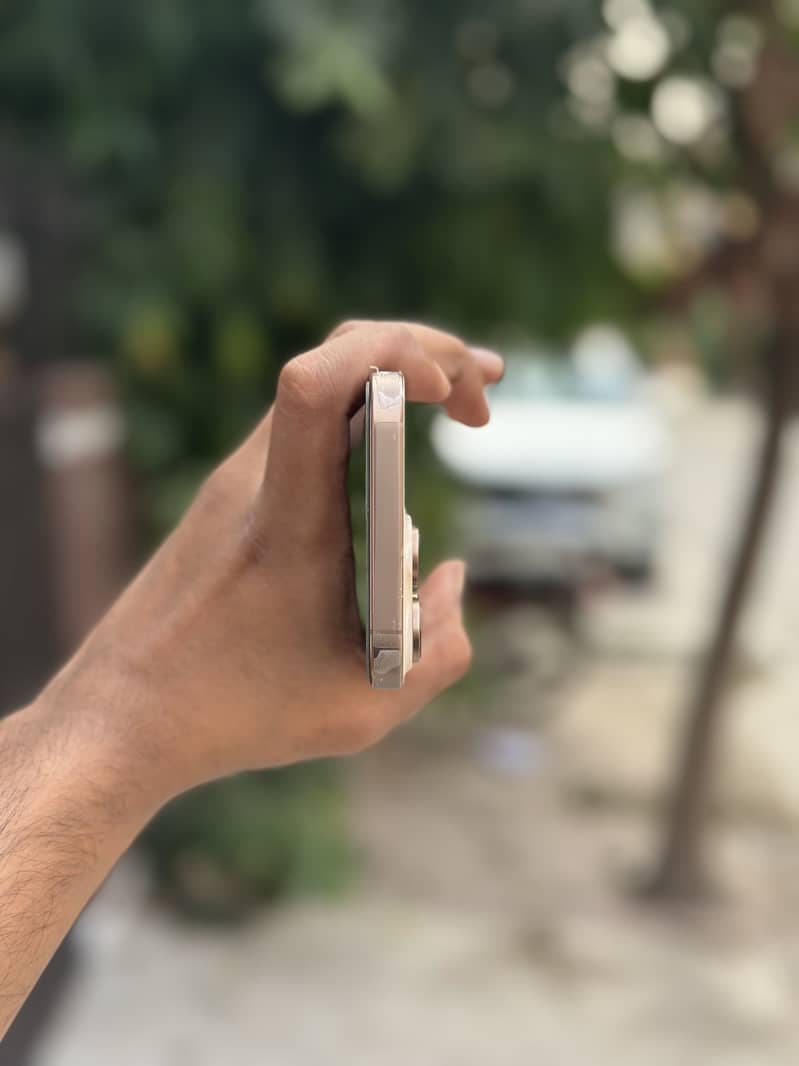 Apple iPhone 16 Pro Max 2