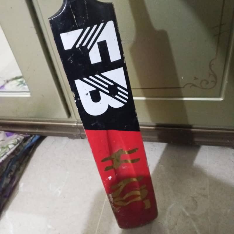 Cricket Bat 0