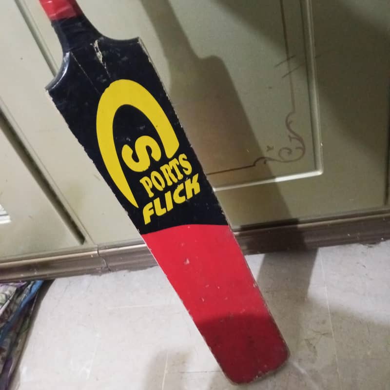 Cricket Bat 1