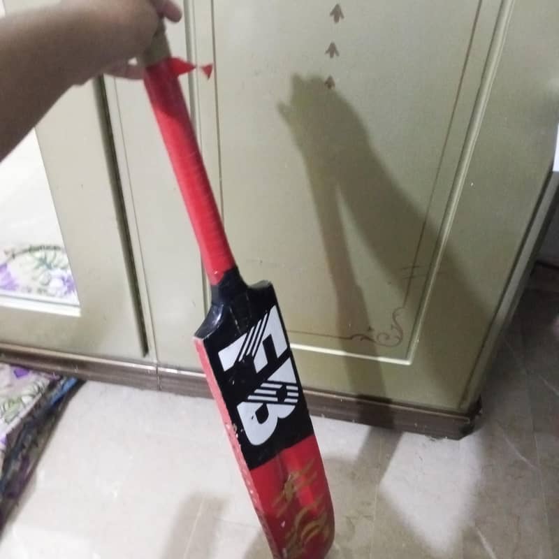 Cricket Bat 2