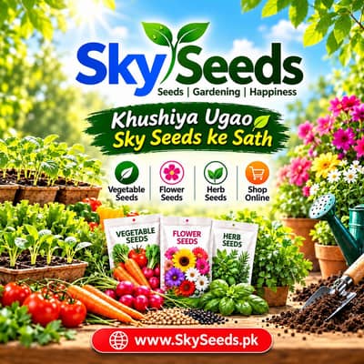 Shop Salesman & Online Order Packing / Dispatch Staff Required