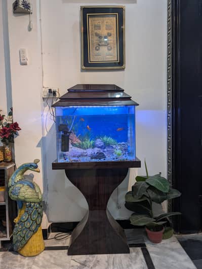 Fish Tank/ Aquarium