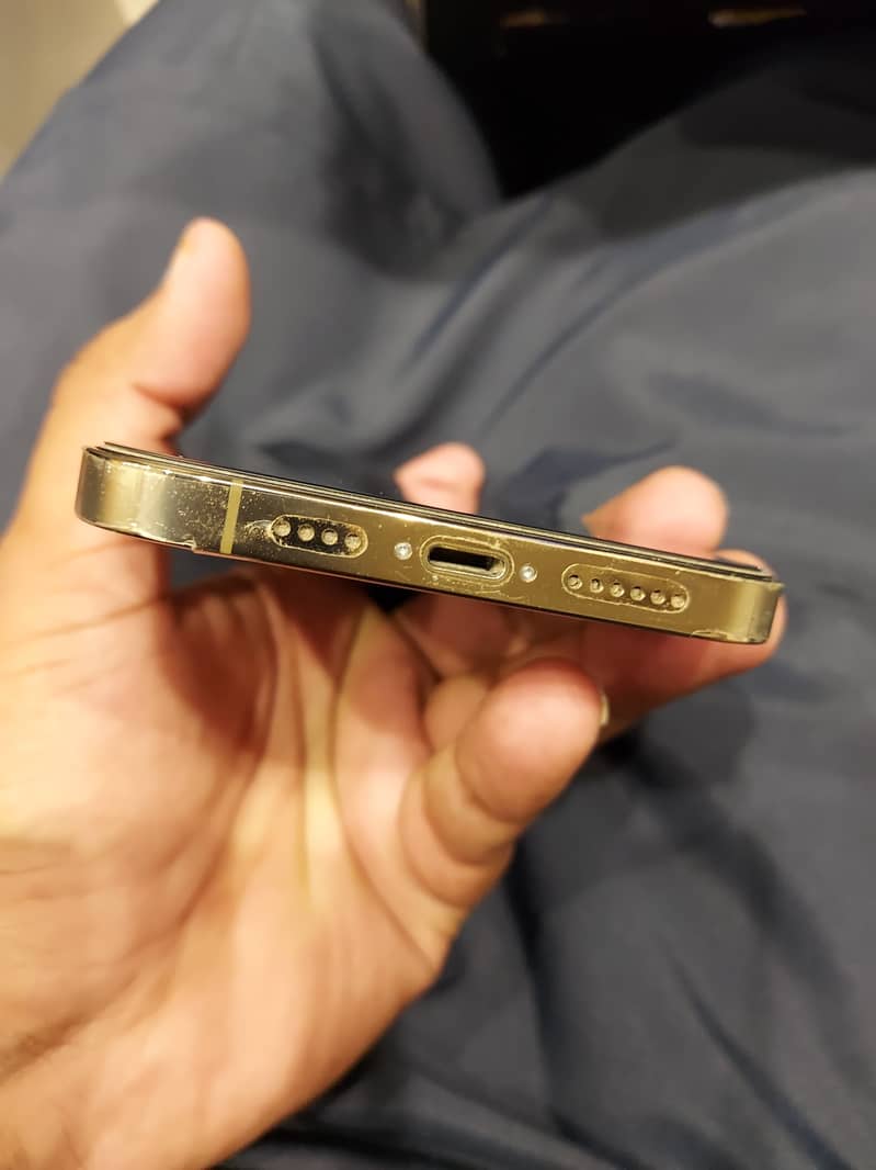 Apple iPhone 12 Pro Max 2