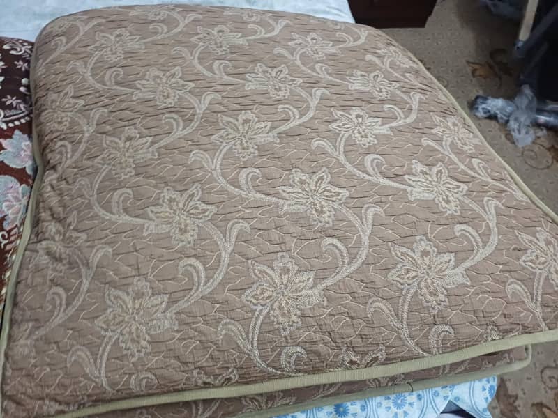 cushions 2