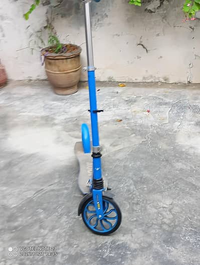 stoocy up for sale