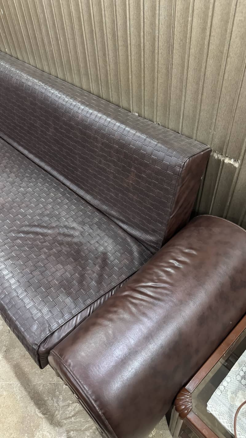 Sofa Cum Bed 1