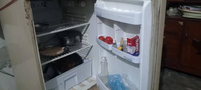 pel Fridge Best cooling fridge