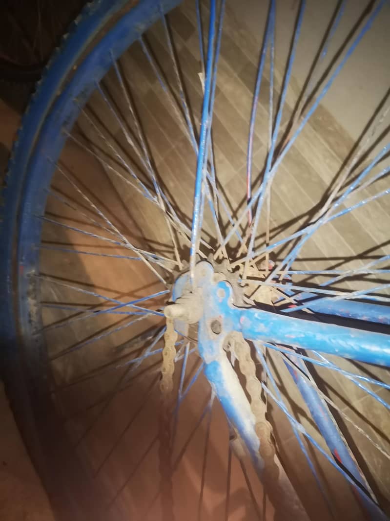reapirable bicycle 12
