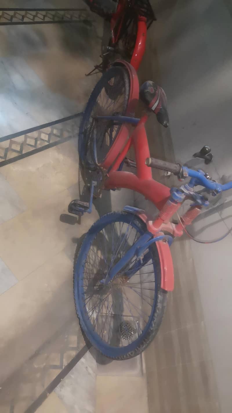 reapirable bicycle 17