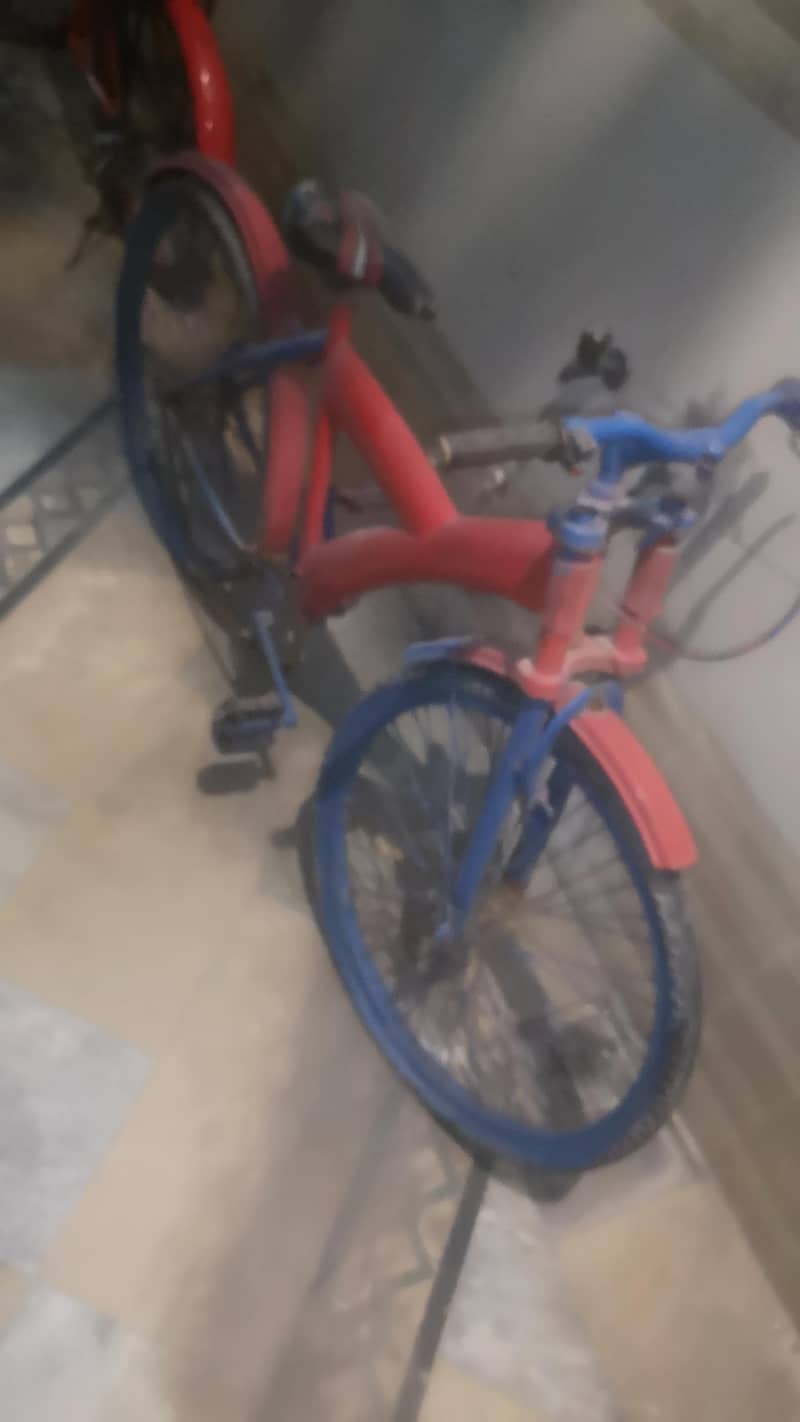 reapirable bicycle 19