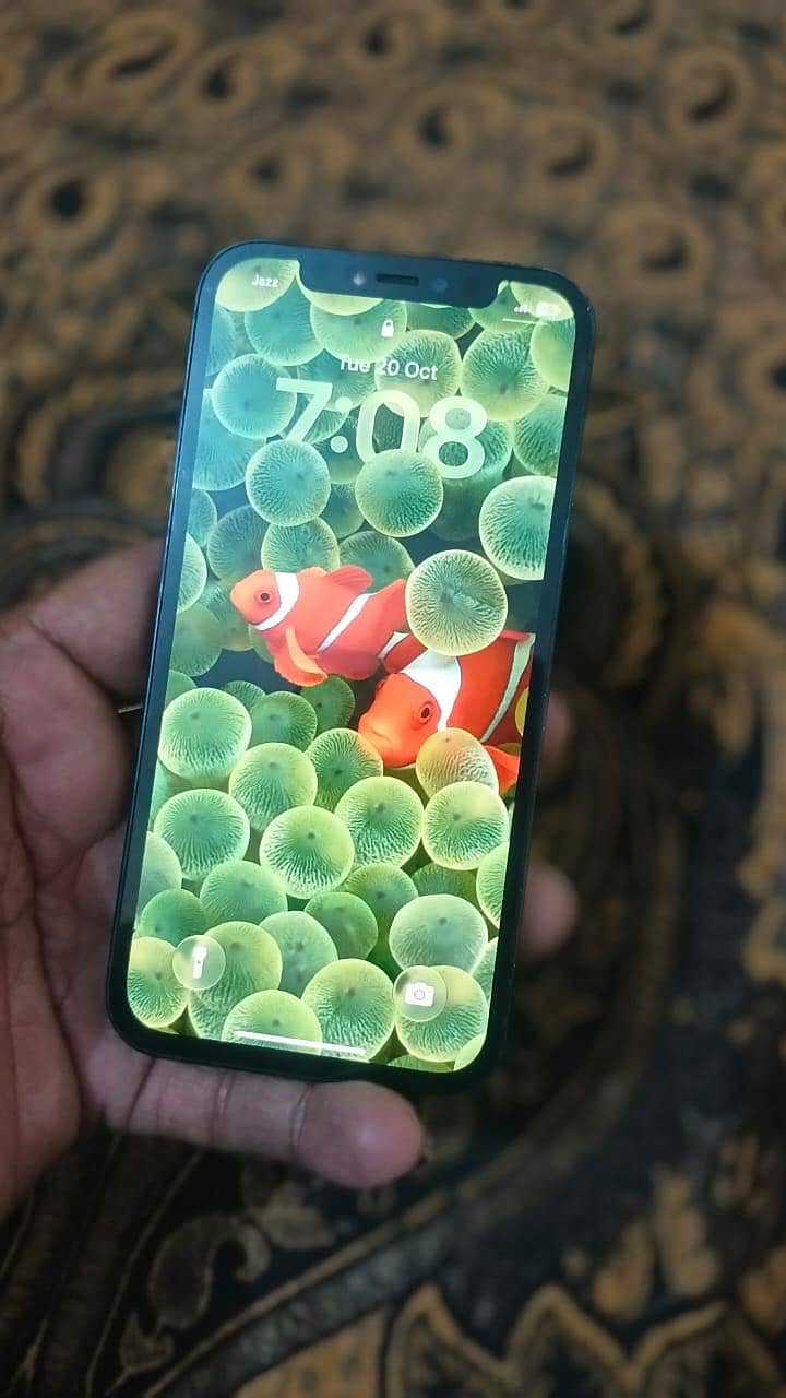 Apple iPhone 12 3