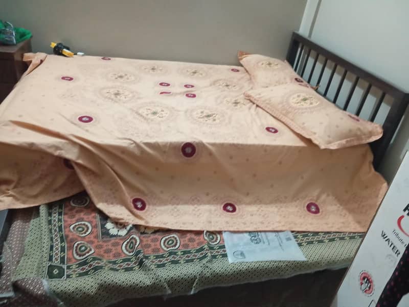 double iron bed 2